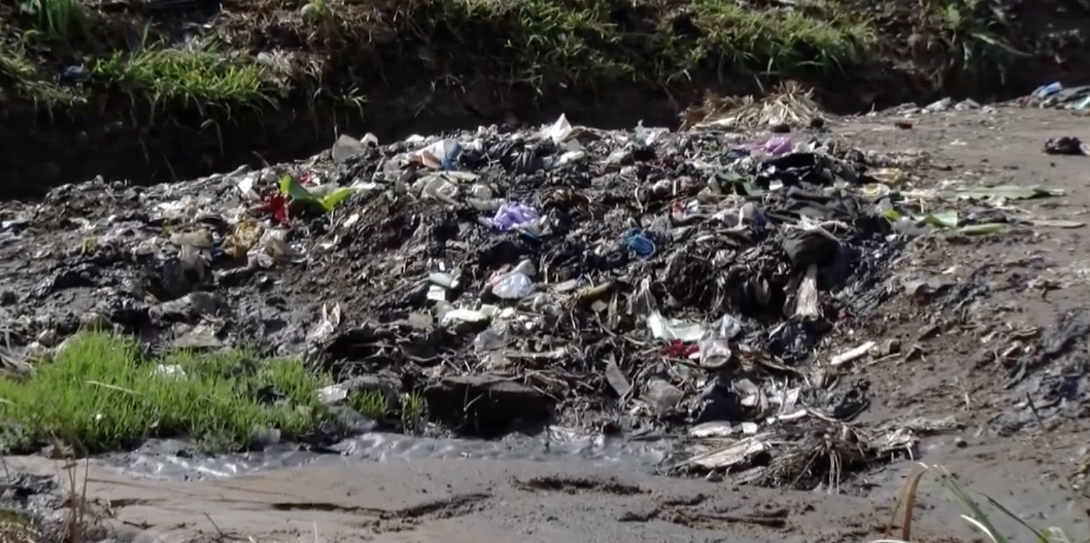 Screenshot 2024 05 30 at 2.00.31 PM